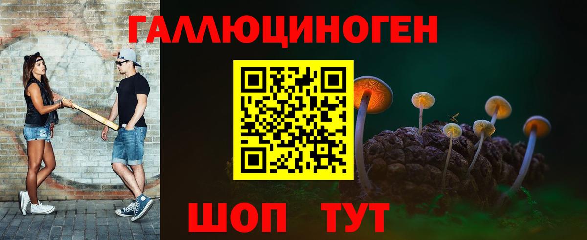 Советская Гавань  Галлюциногенные грибы Cubensis  Псилоцибиновые грибы Psilocybine cubensis  что такое   Вход с VPN 